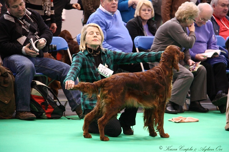 Crufts2011 296.jpg